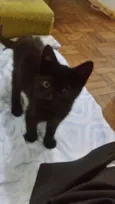 neguinho