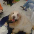 Não sei