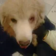 Não sei