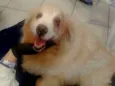 Não sei
