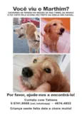 Martin