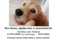 Martin