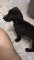 Não definido