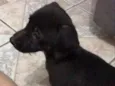 Não definido