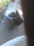 Hghh