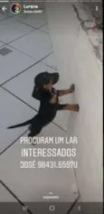Choque, Maia ,