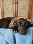 Agatha