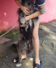 Platão 