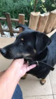Desconhecido