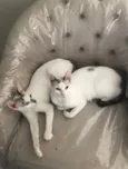 Valentina e Catarina