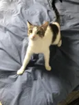 Emily