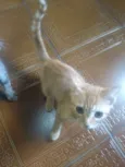 Miúda