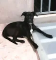 Milla