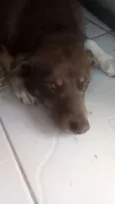Mel
