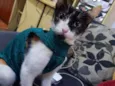 Mimi