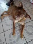 Nina
