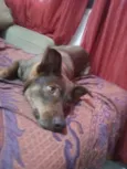 Nina
