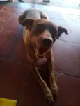 Nina