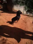 Marley