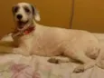 Penelope