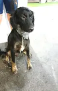 Frederico