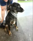 Frederico