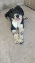 Tom