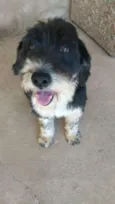 Tom