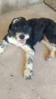 Tom