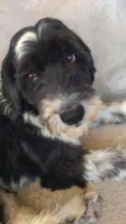 Tom