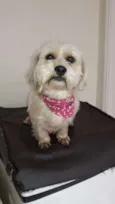 Théo
