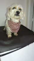 Théo
