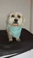 Théo