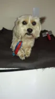 Théo