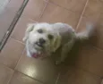 Théo