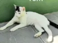 Tom
