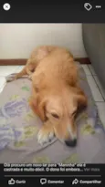 Não sei