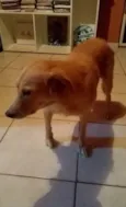 Não sei