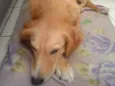 Não sei