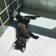FELIX