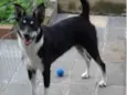 LILA
