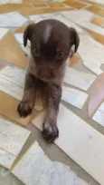 Fiona