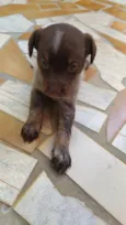 Fiona