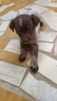 Fiona