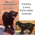 Pretinha