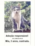 Pretinha