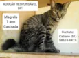 Pretinha