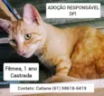 Pretinha