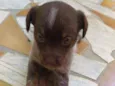 Fiona
