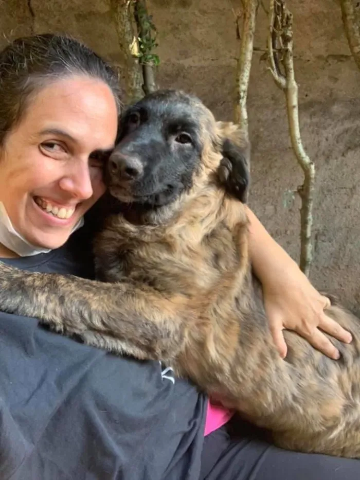Cachorro ra a SRD idade 2 a 6 meses nome Raj